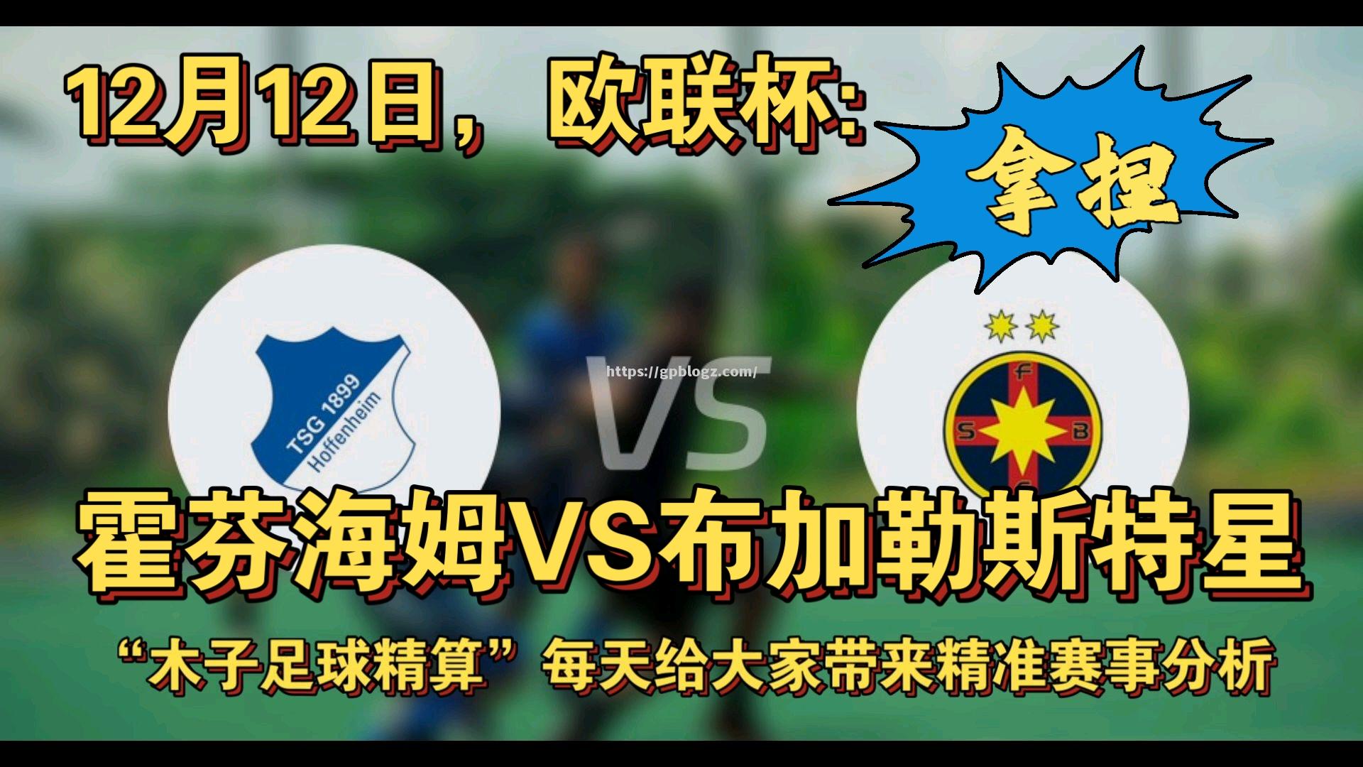 霍芬海姆力争胜利,向冠军发起冲击! 霍芬海姆力争胜利,向冠军发起冲击!