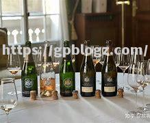 西班牙豪门重金挖掘南美新星,未来可期 西班牙豪门重金挖掘南美新星,未来可期