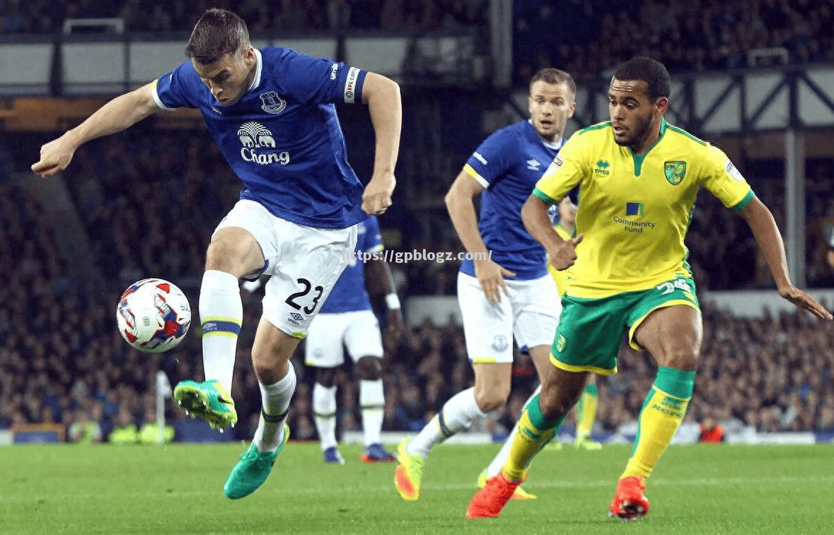 谢菲联主场胜利,保级大计愈加乐观 谢菲联主场胜利,保级大计愈加乐观